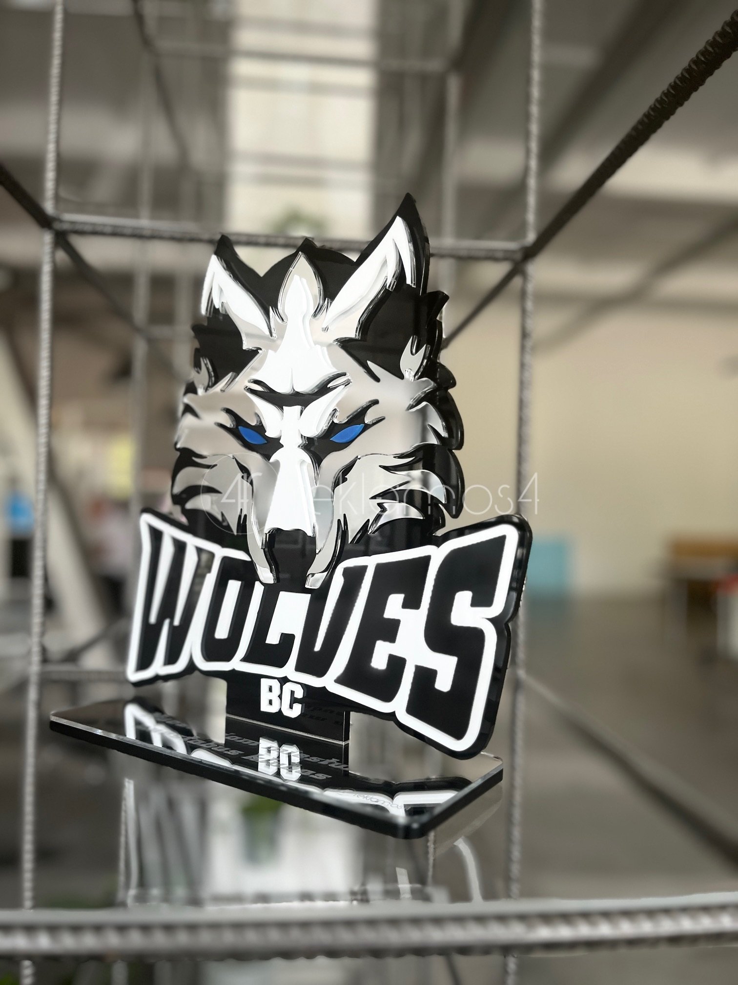 Stiklo ir plastiko gaminiai